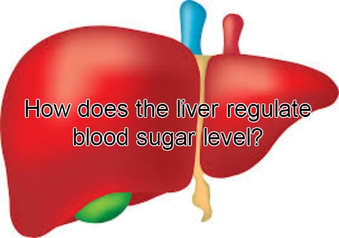 高血糖與肝臟有關系嗎