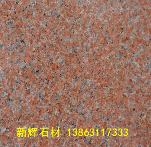 石島紅老8號